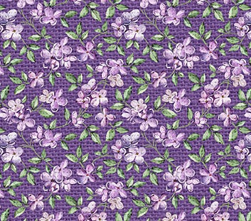 Lilac Garden - Purple Pack Mini Lilacs