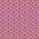 Indelible - Taffy Coneflower