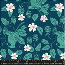 Backyard - Cardinal Galaxy