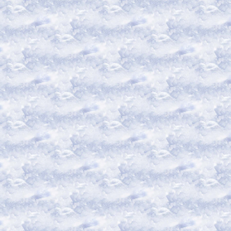 Snowy Owl - Clouds