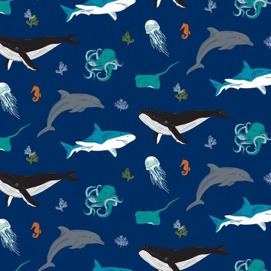 Ocean Life - Whales Navy
