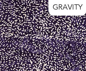 Ketan - Purple Gravity