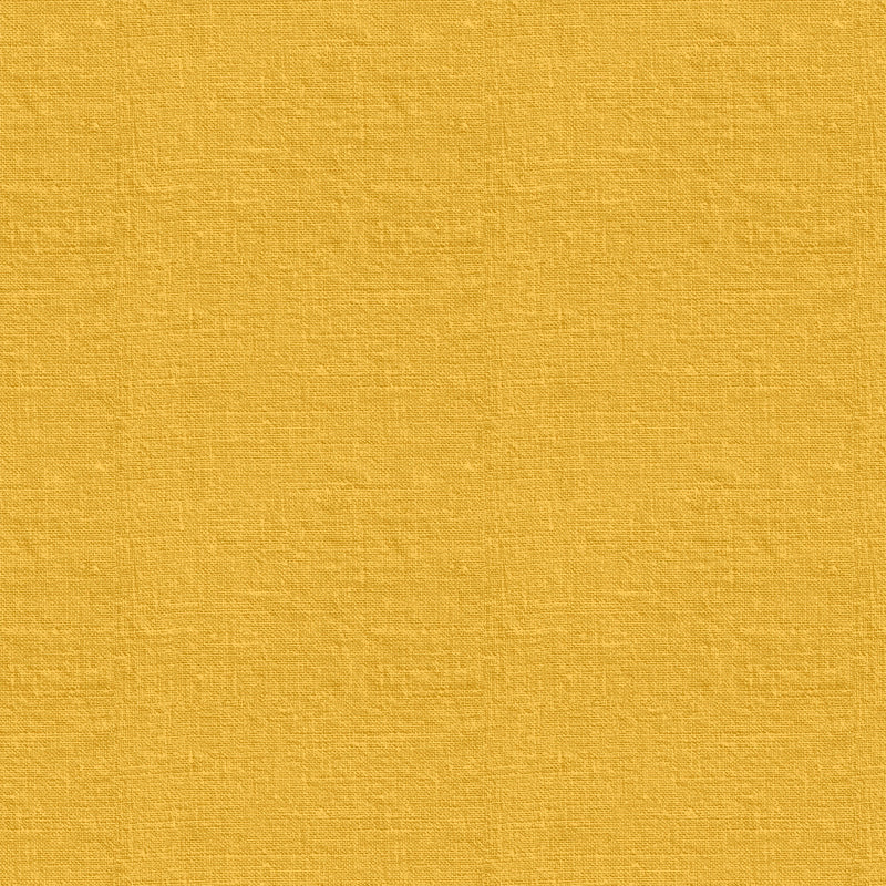 Workshop - Mustard Texture