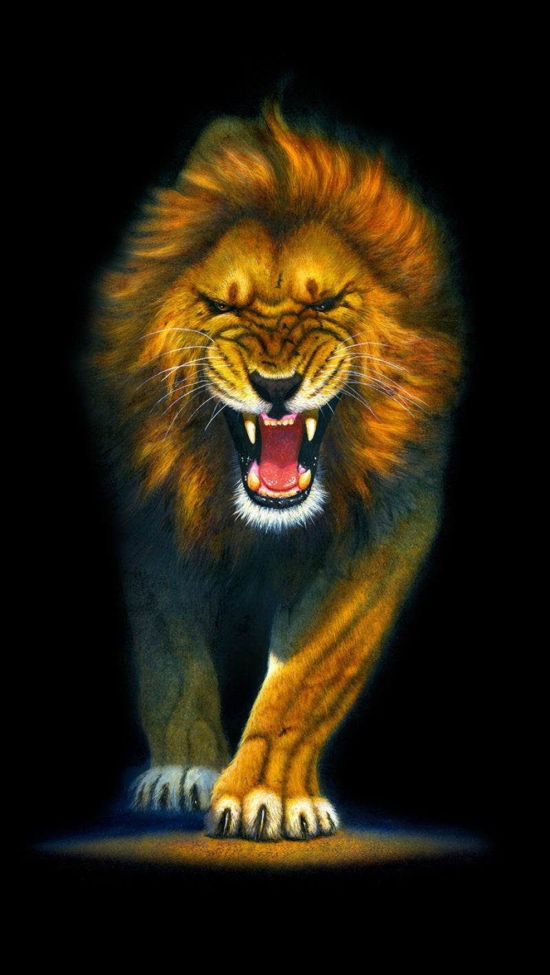Animal Kingdom - Wild Lion