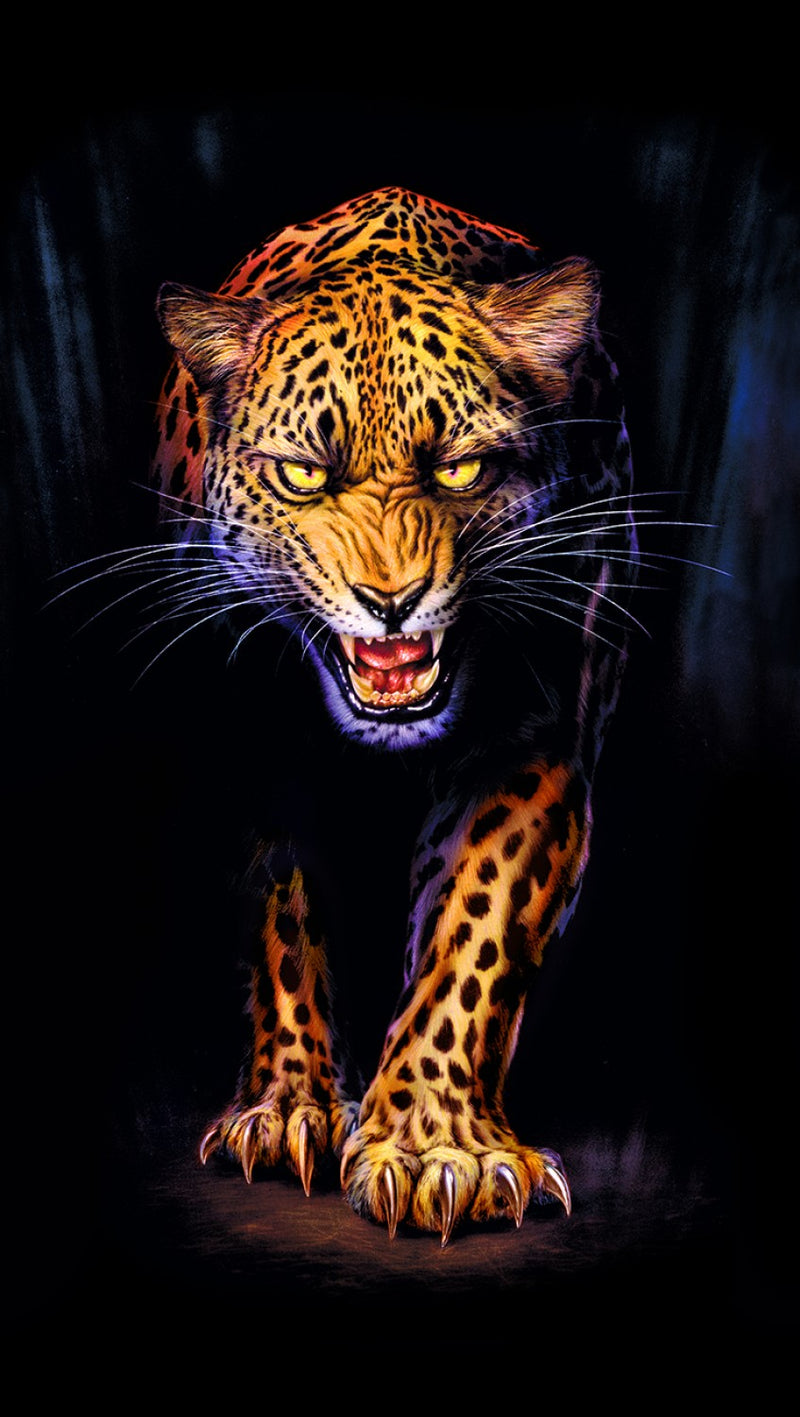 Animal Kingdom - Wild Cheetah