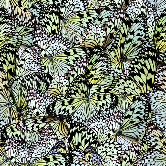 Natures Narratives - Green Mariposa Butterflies