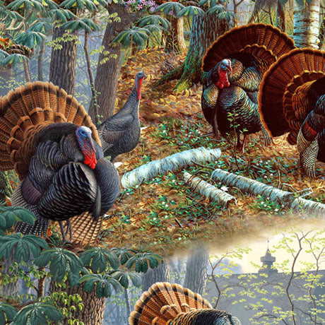 Turkey Hill - Roaming Turkeys